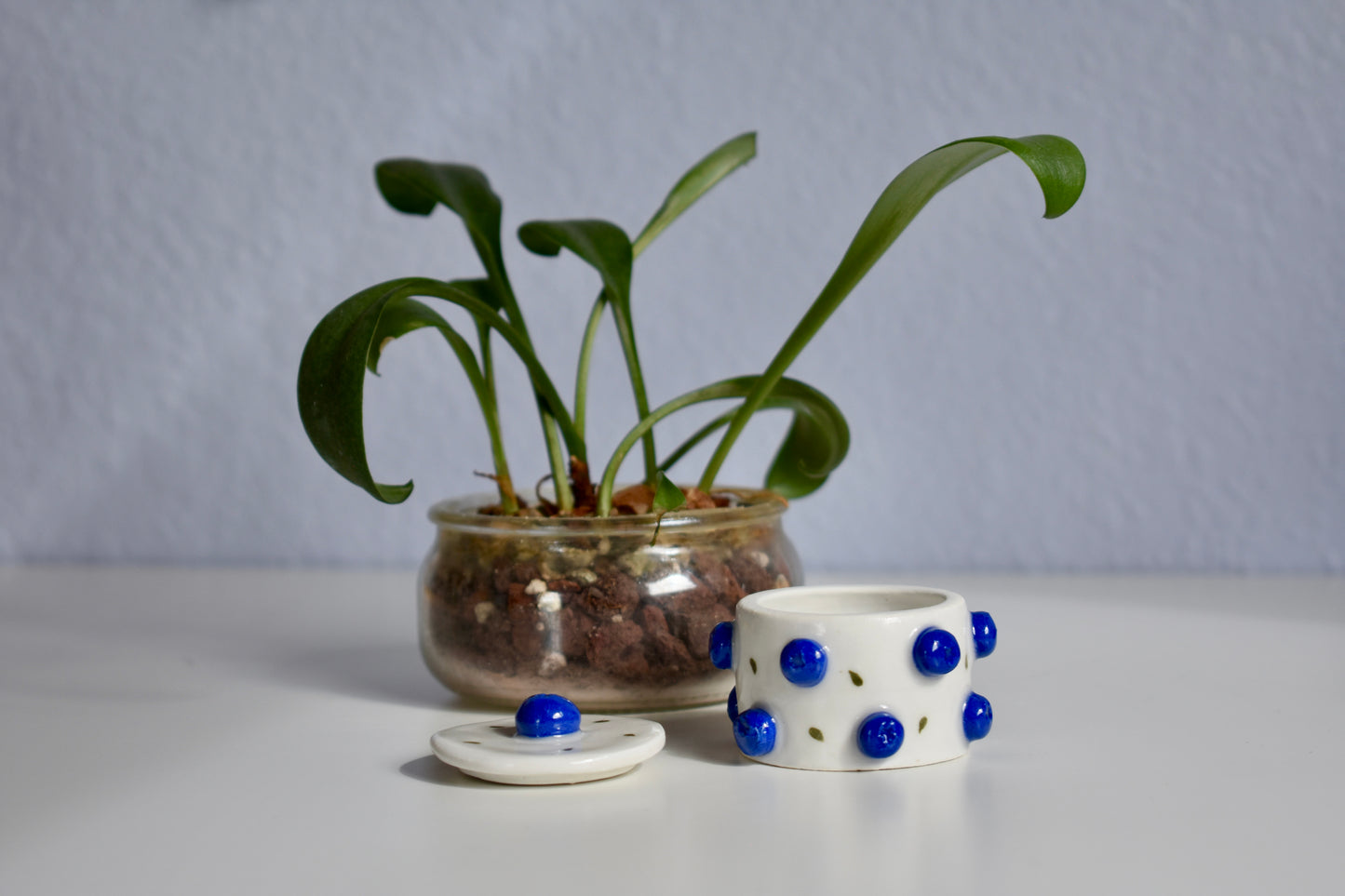 blueberry jar