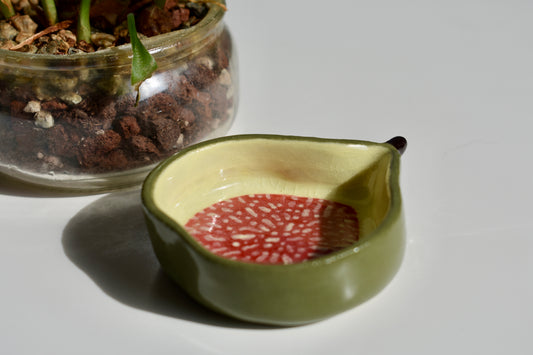 fig nest