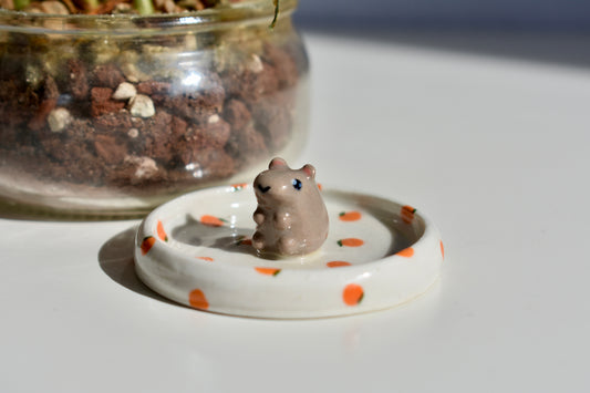 citrus Beau ring holder