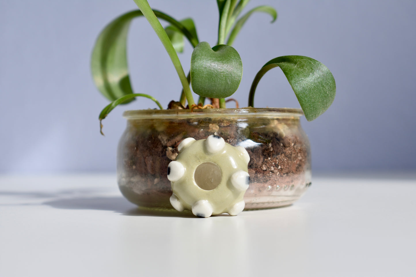 mini onigiri bowl