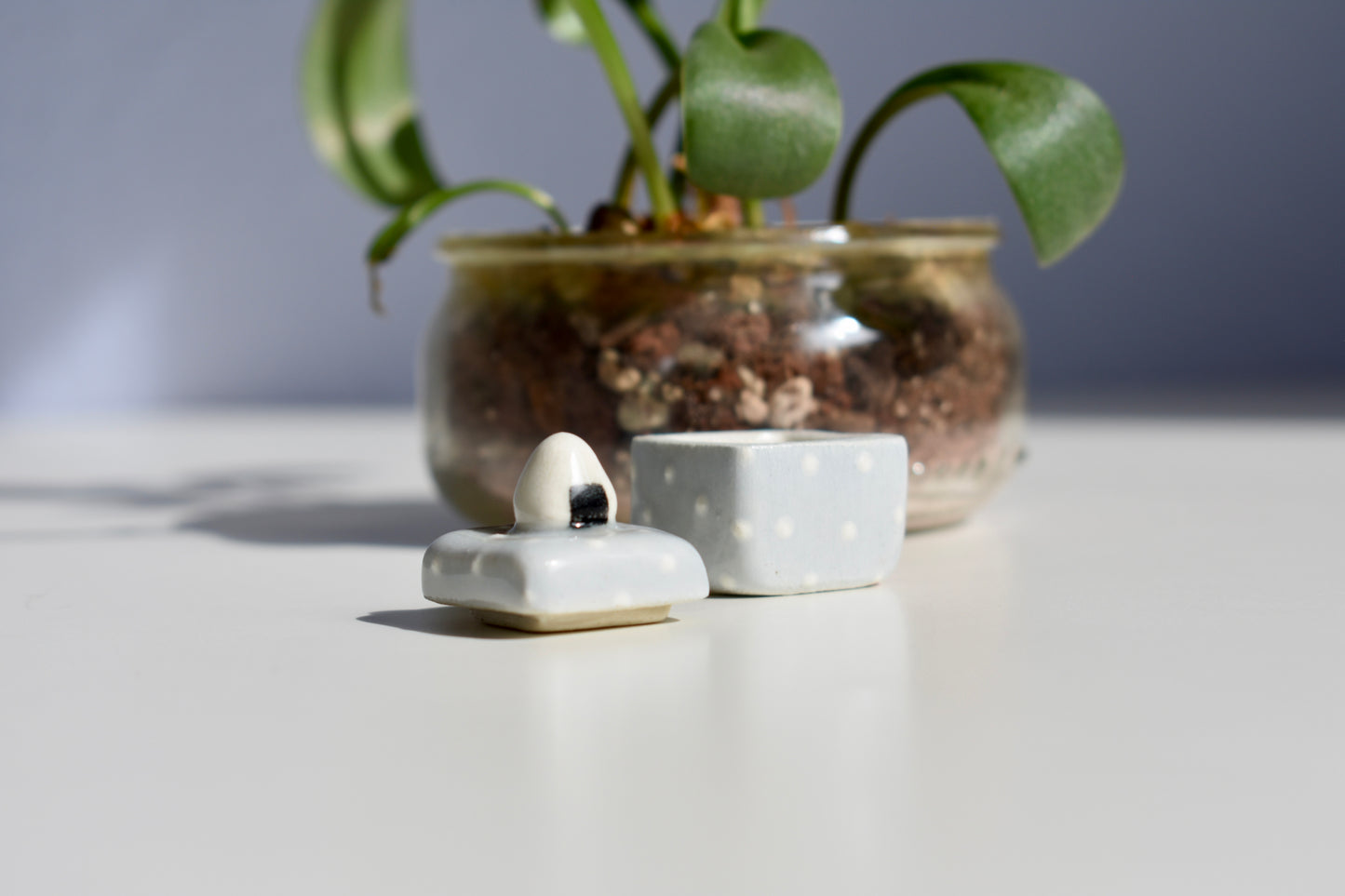 onigiri polk-a-dot trinket box