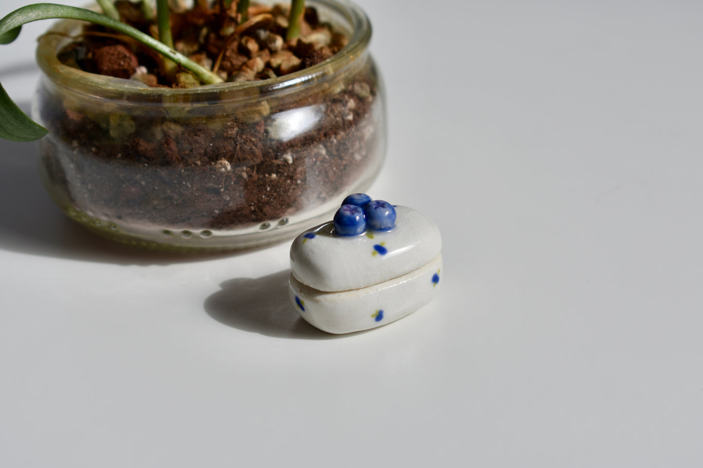 blueberry trinket box