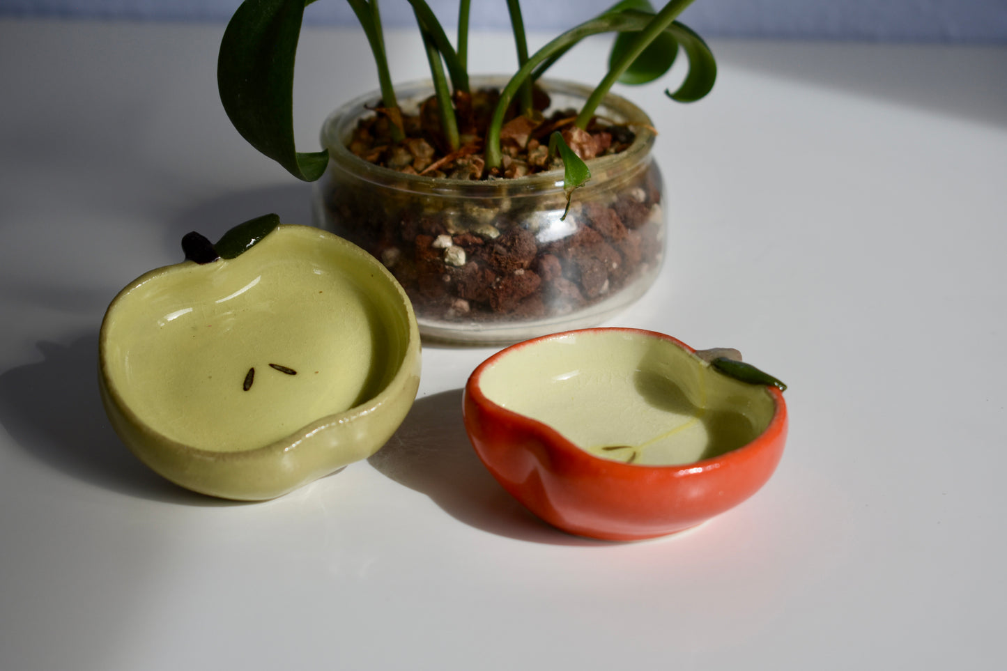 apple nest
