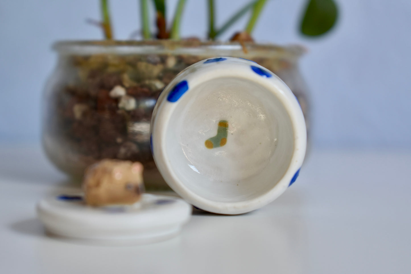 Yuki blueberry trinket box