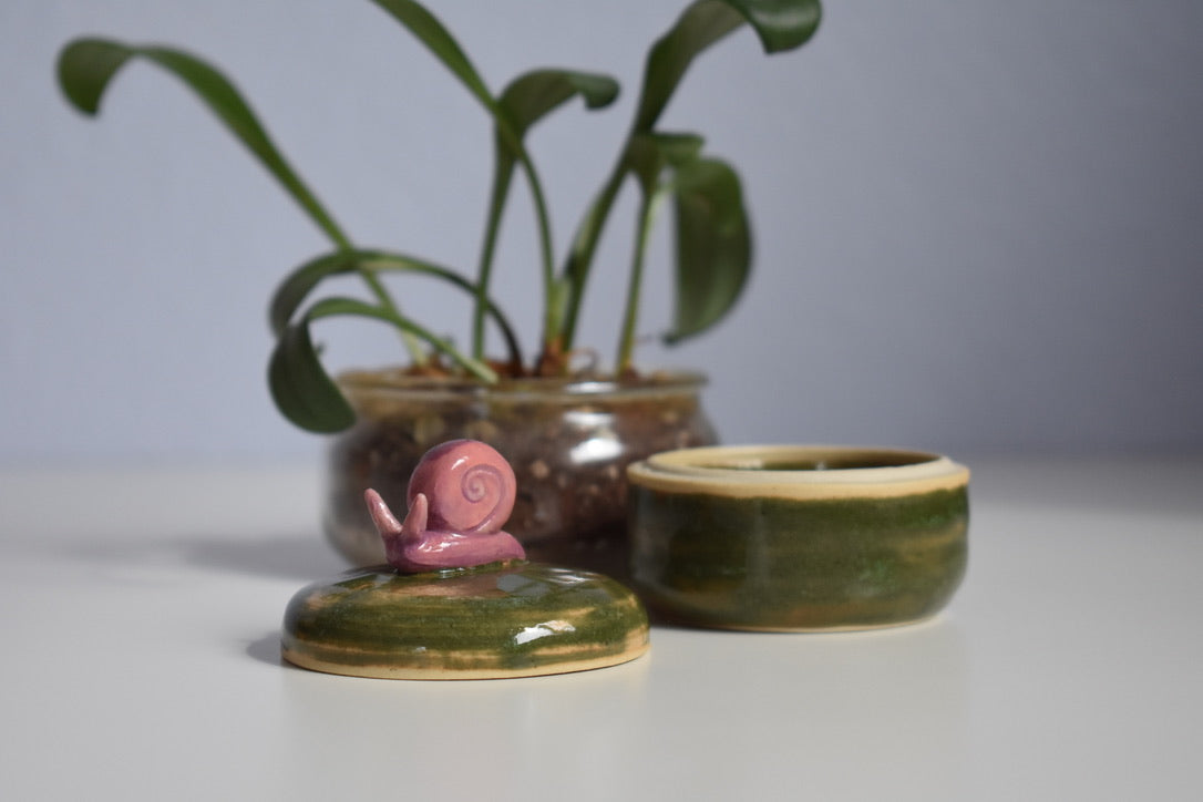 snail jar