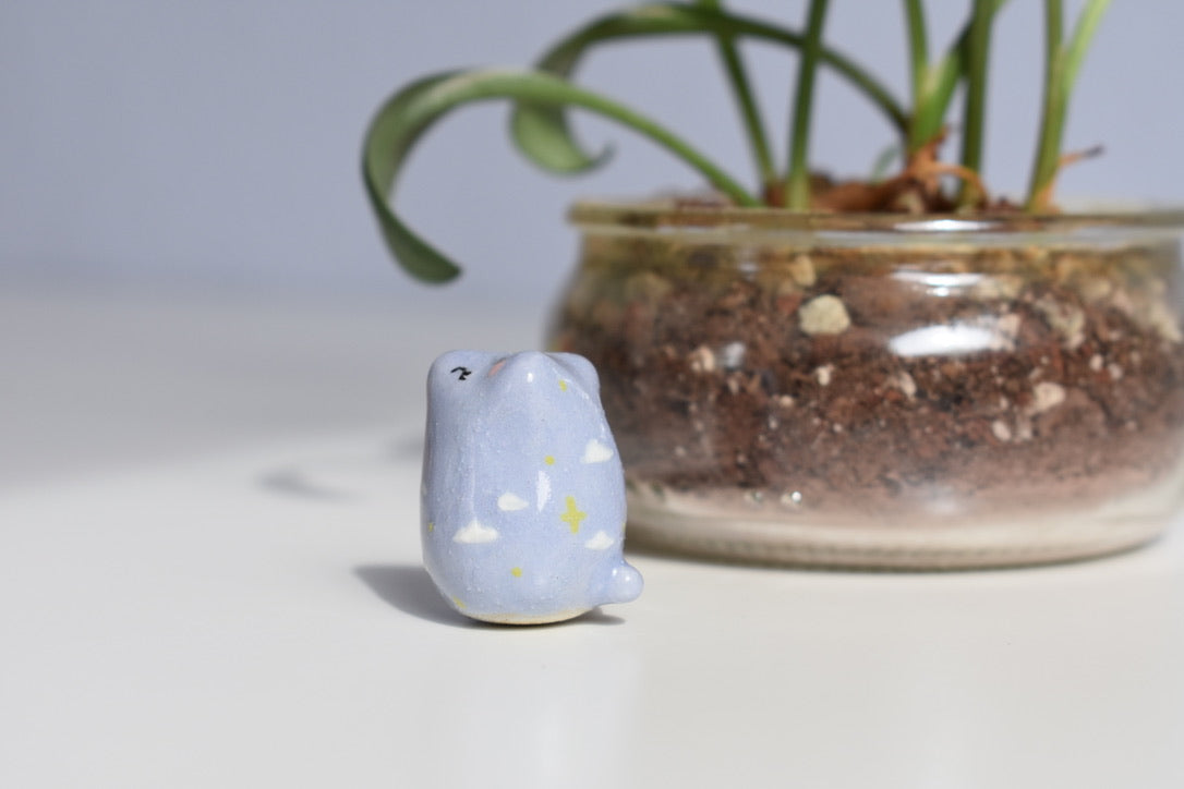 cloud bear