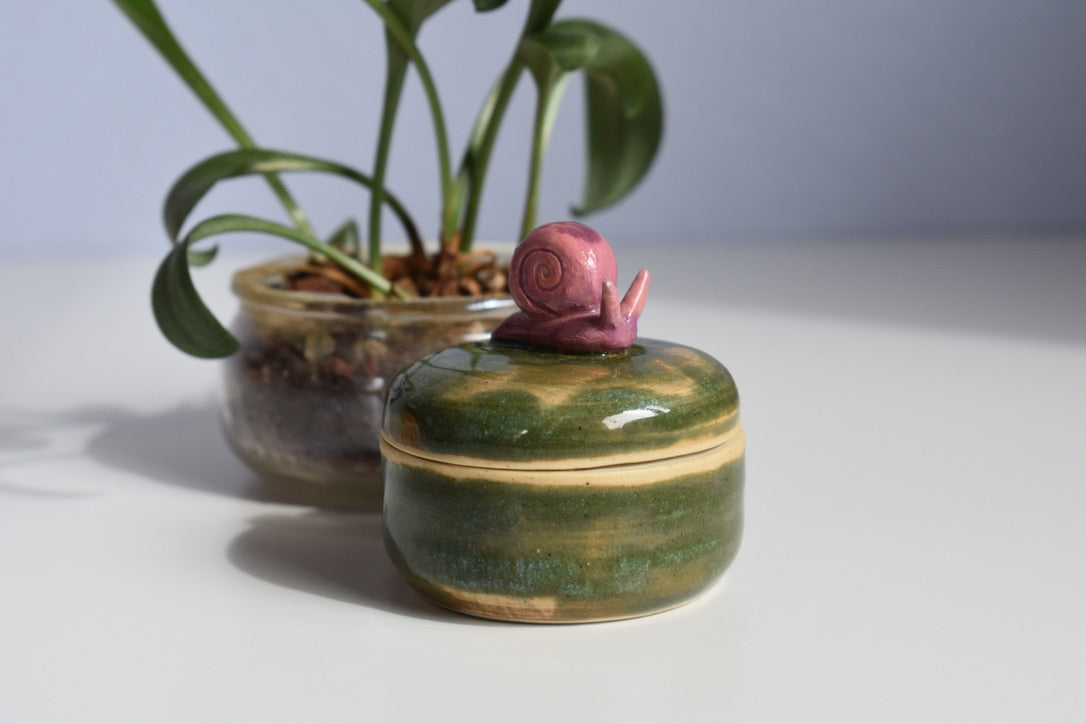 snail jar