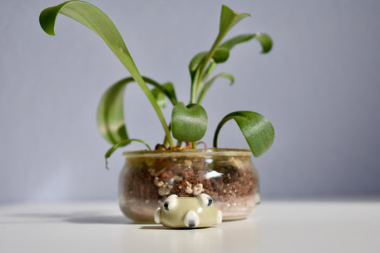 mini onigiri bowl