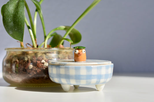 Kan picnic blanket trinket box