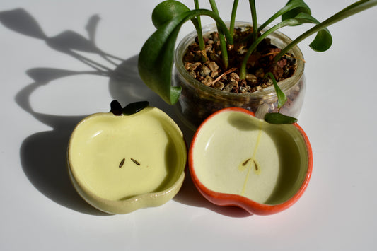 apple nest