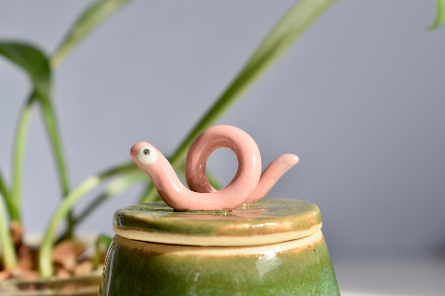 worm jar