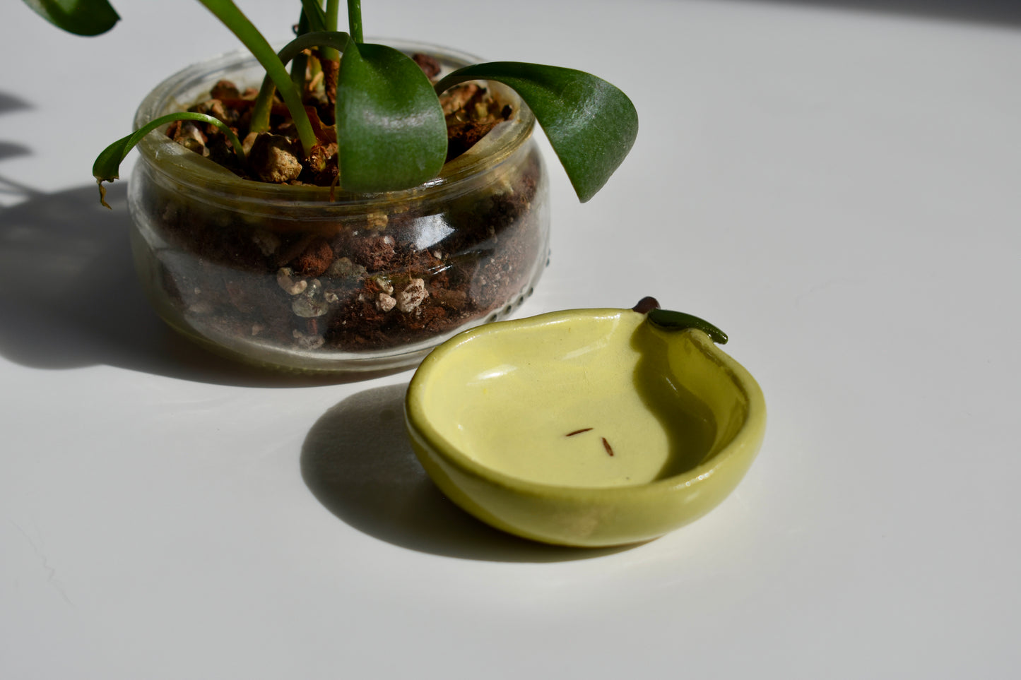 pear nest