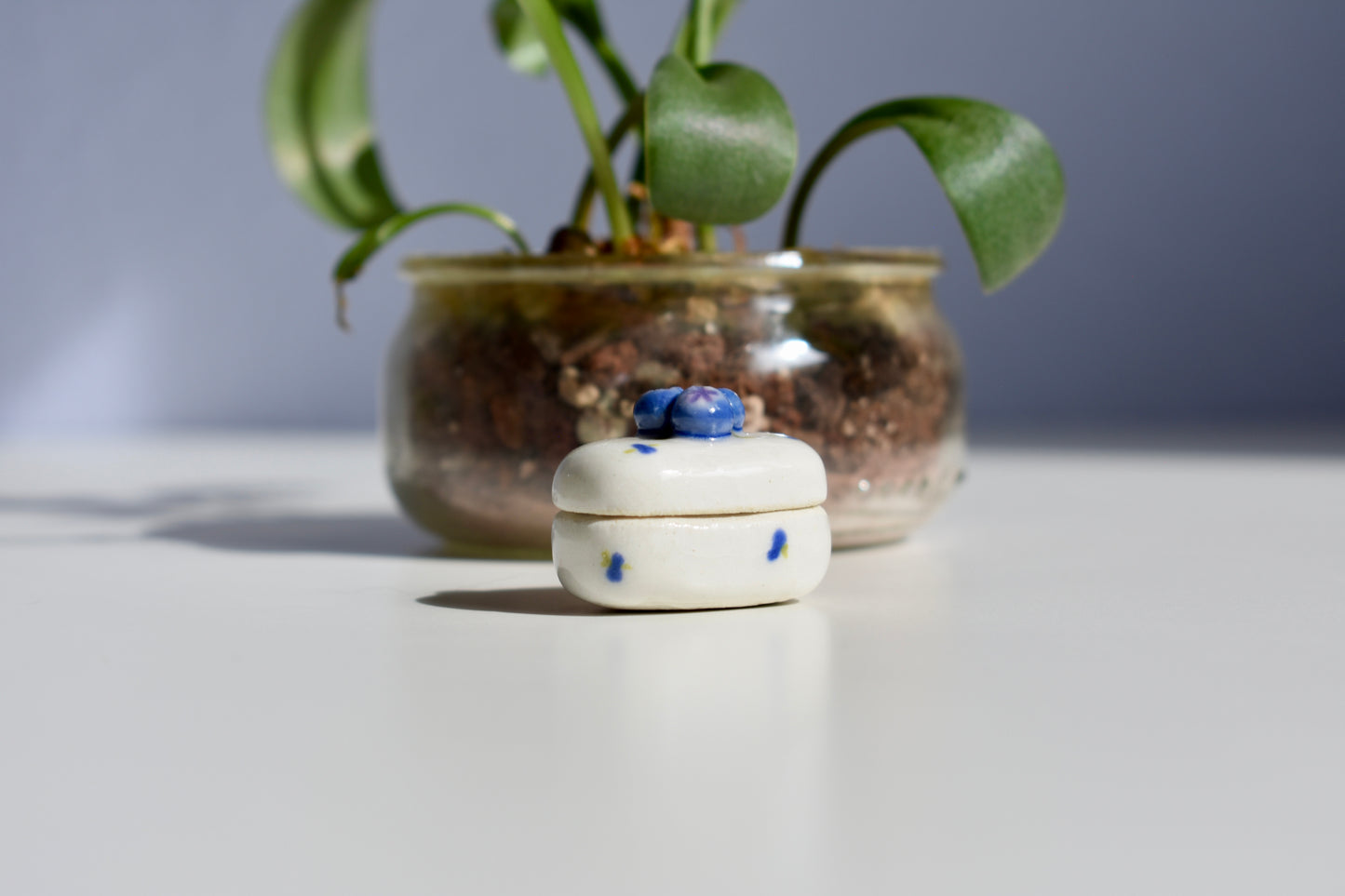 blueberry trinket box