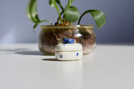 blueberry trinket box
