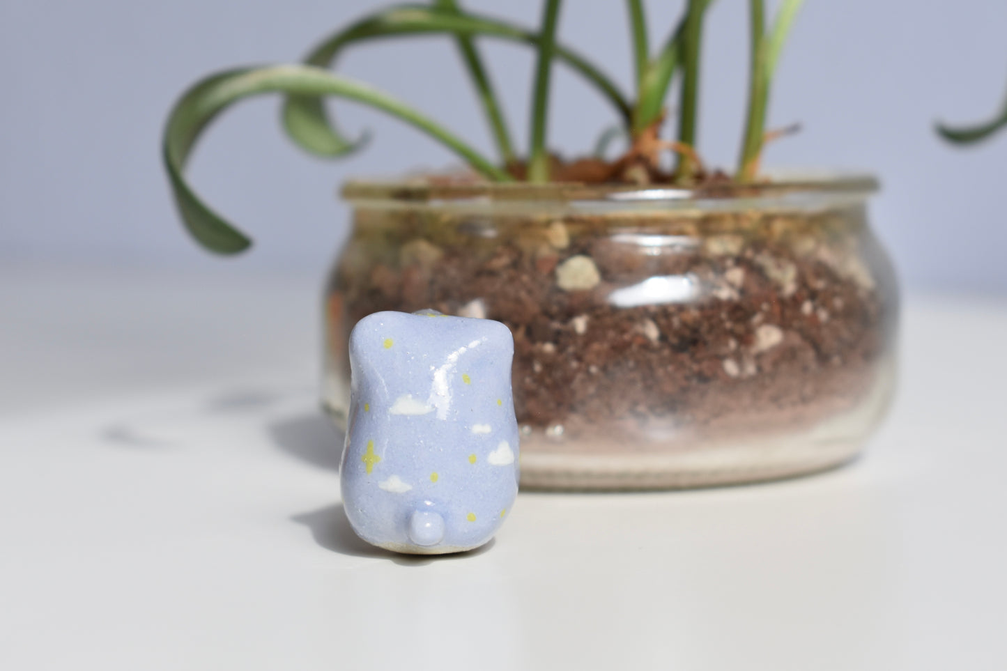 cloud bear