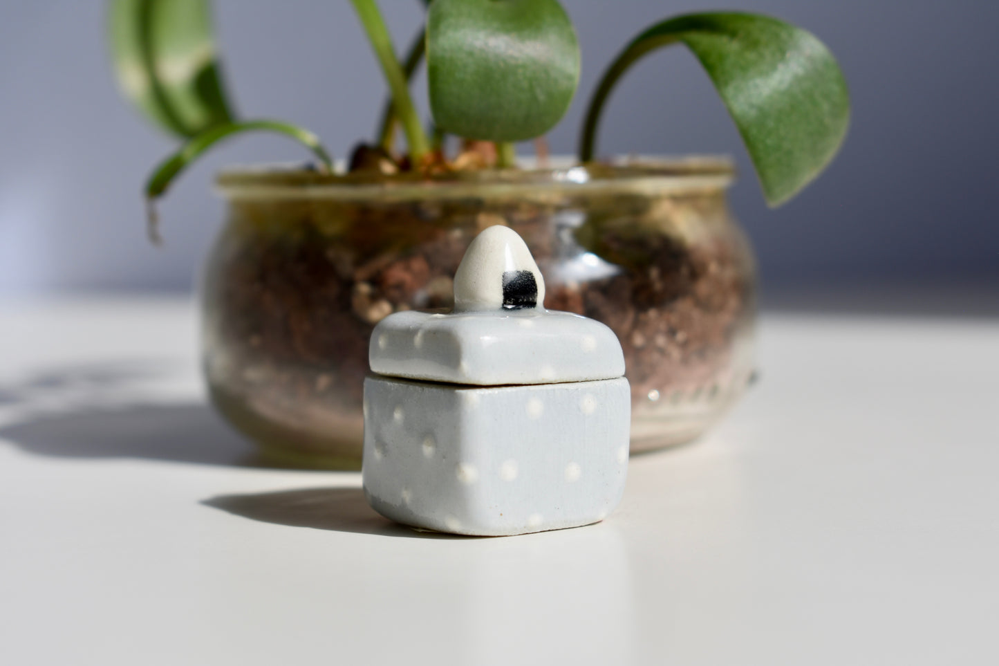 onigiri polk-a-dot trinket box