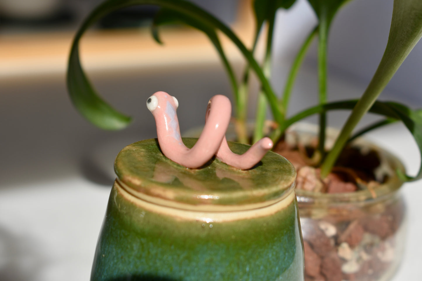worm jar