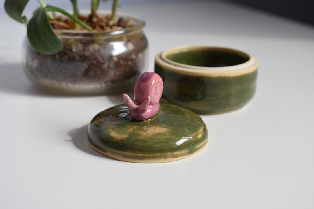 snail jar