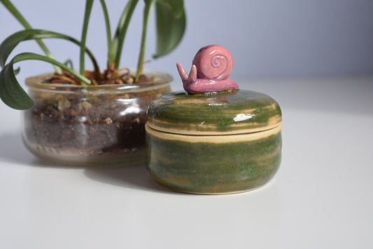 snail jar