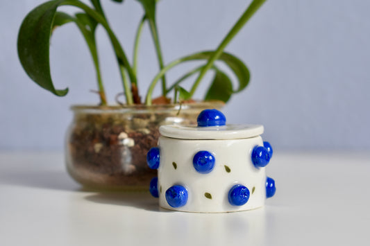 blueberry jar