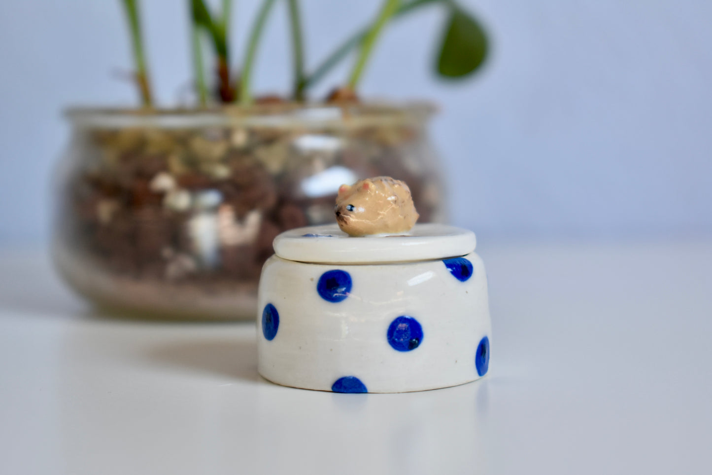 Yuki blueberry trinket box