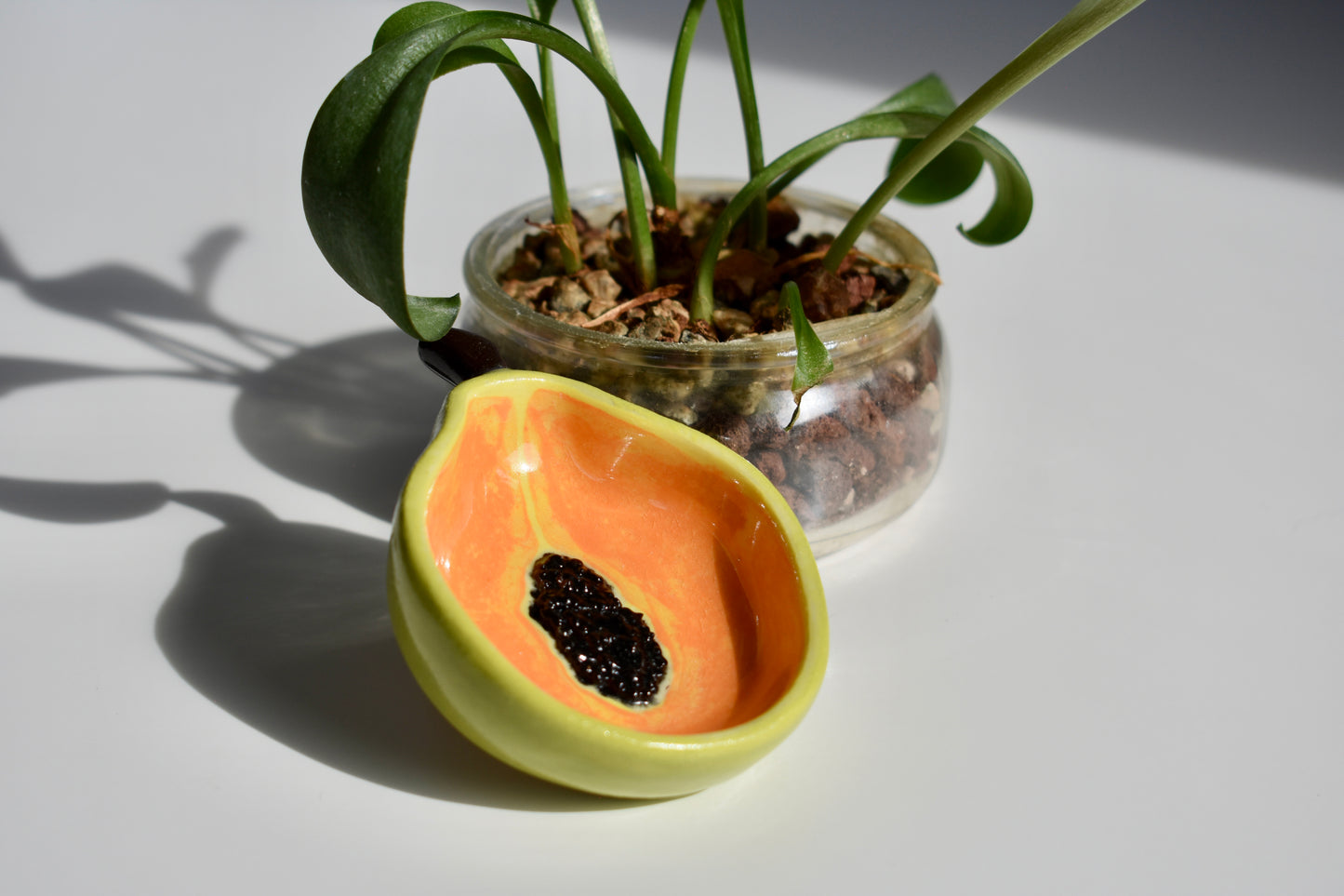 papaya nest