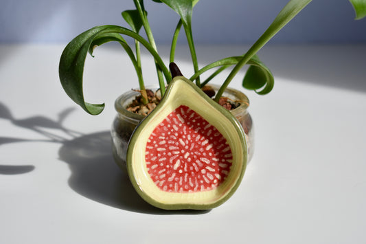 fig nest